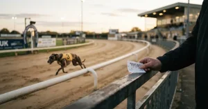 Greyhound racing betting odds 2026: how prices are built